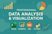 provide professional data analysis and data visualization
