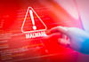 do professional malware analysis and detection of malicious files