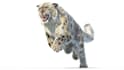 do any 3d animal model, character animation creature xgen hair 3d dragon vfx fur