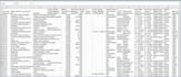 clean, organize, and automate excel or google sheets data entry tasks profession