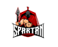create high quality and beautiful spartan logo design