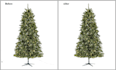 do background remove photo editing transparent images