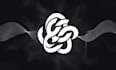 animate your logo reveal