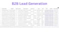 provide b2b lead generation with verified contacts