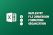 clean, organize, and format your excel files with professional structure