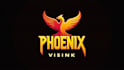 create an awesome phoenix bird logo with express delivery
