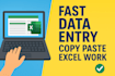 do accurate data entry, copy paste,data cleaning for you