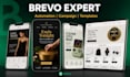 setup brevo newsletter brevo campaign design brevo landing page brevo automation