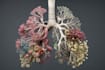 create your 3d medical anatomy scientific biomedical