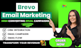 setup brevo, omnisend, klaviyo email campaigns to boost sales