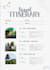 create a custom india travel itinerary for your dream trip
