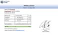 make a template payslip can be customize