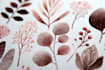 paint watercolour botanical illustrations
