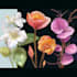 draw botanical illustration art for you