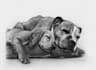 create a video sketch of your pet