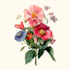 do an botanical seamless pattern, floral illustrations