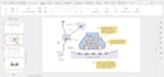design a professional and modern powerpoint presentation