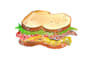 paint watercoloured food illustrations