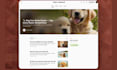 setup design beehiiv newsletter beehive landing page substack newsletter design