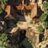 fantasy map maker vector map illustration city map design