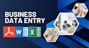 professional virtual assistant data entry  web research