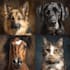 do realistic digital pet portrait dog, cat, horse