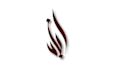 create premium arabic calligraphy brand logo and name design