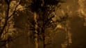 create 3d animations and cinematography