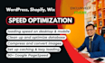 do wordpress speed, wix speed, shopify speed optimization