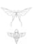 make an insect tattoo design