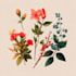 create amazing botanical illustration