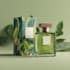 design box packaging, product packaging design