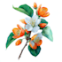 draw realistic botanical illustration