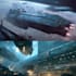 draw a spaceship or vehicle design and spaceship concept art