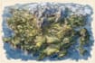 draw fantasy map illustration