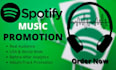 review your music on my blog and pitch song to spotify playlist curators