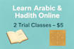 teach arabic language and hadith with proper understanding