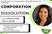 dissolve US llc or corporation, ein, itin closure, professional dissolution