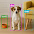 develop and deploy custom computer vision solutions