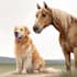draw realistic digital pet portrait dog, cat, horse