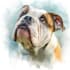 draw pet portrait with disney style