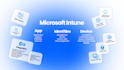 implement microsoft intune, autopilot and m365 device management