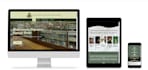design a mobile friendly and SEO ready website for you