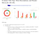 do full SEO and lead capture audit and action plan