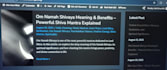 do complete SEO optimization on page off page technical audit