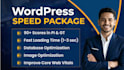 optimize pagespeed and do wordpress speed optimization