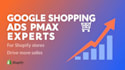 setup and manage google shopping ads and pmax campaigns