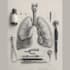 do realistic medical illustrations