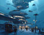 draw sci fi illustration and sci fi concept art