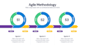 manage your IT, software projects as a certified pmp and csm